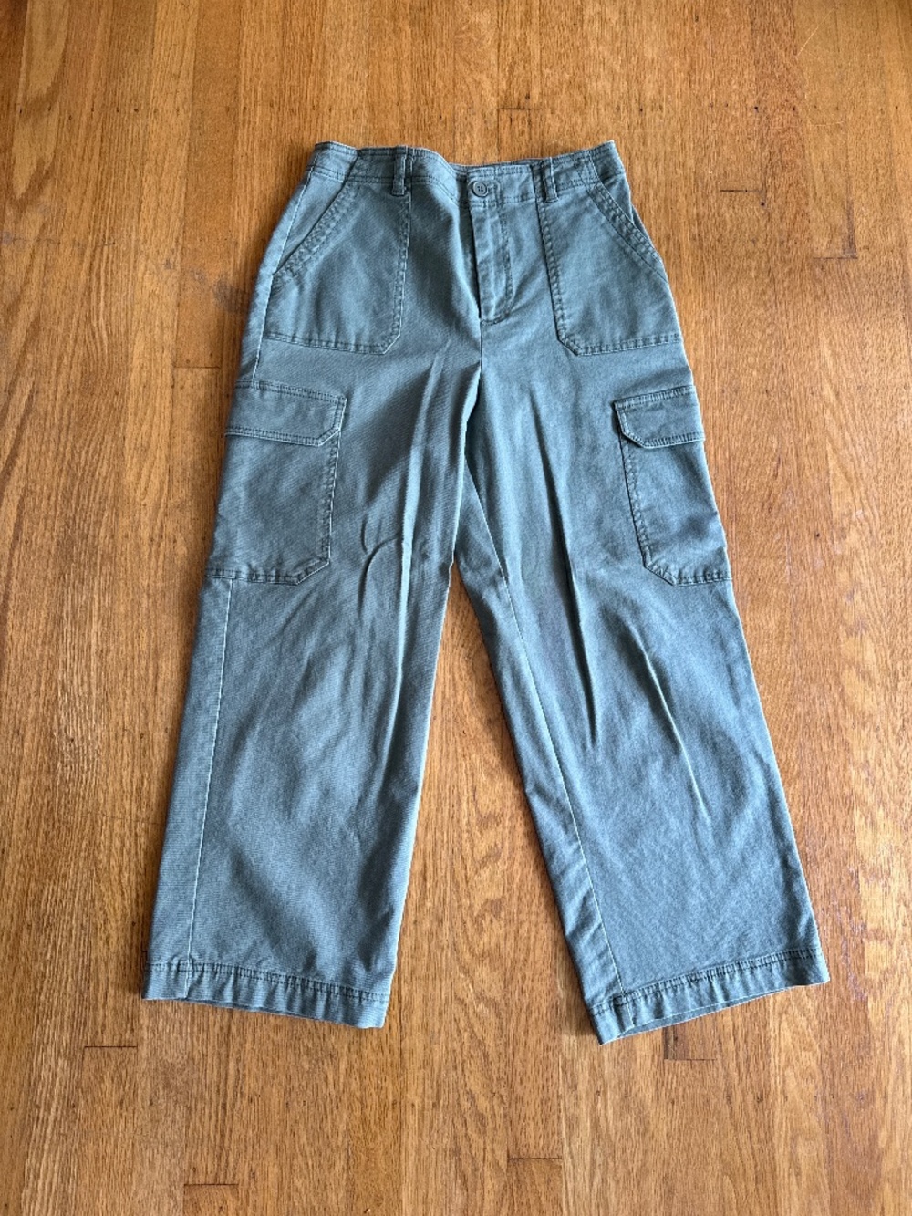 Z Supply Cargo pants